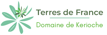 Logo Domaine de Kerioche